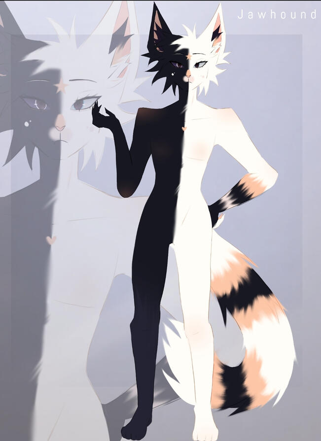 Reference